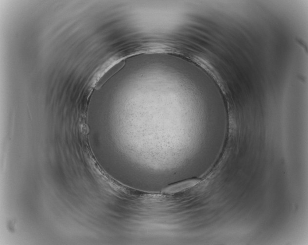 X0000101161481200807071146