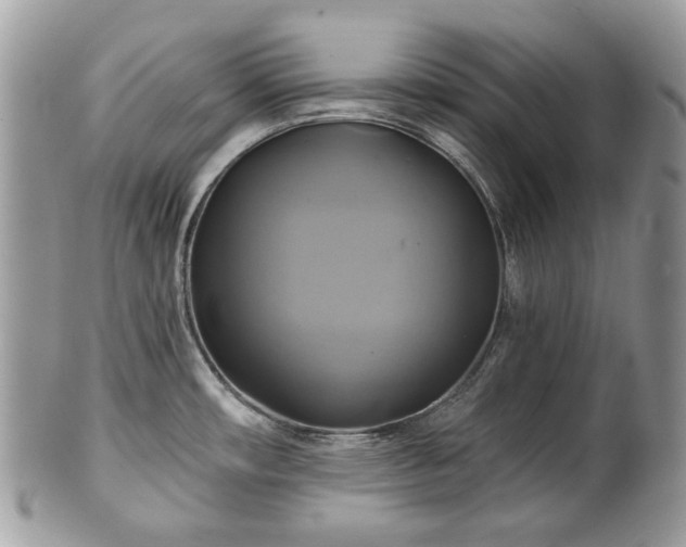 X0000101161482200807071146