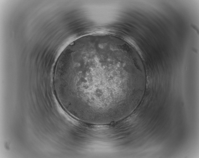 X0000101161483200807071146