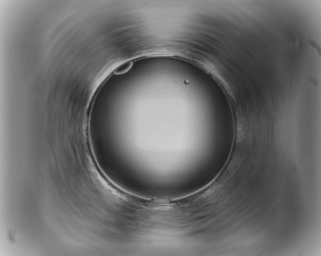 X0000101161484200807071146