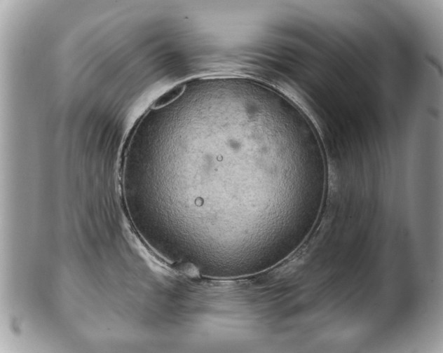X0000101161485200807071146