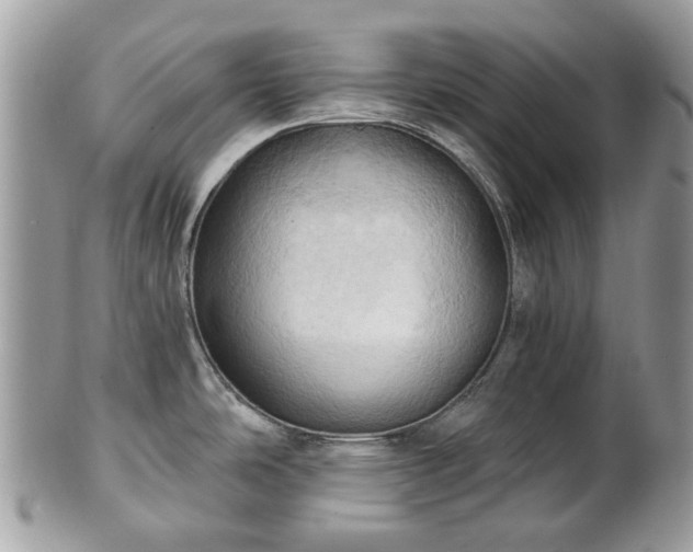 X0000101161486200807071146