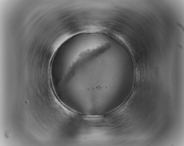 X0000101161487200807071146