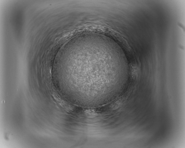 X0000101161489200807071145