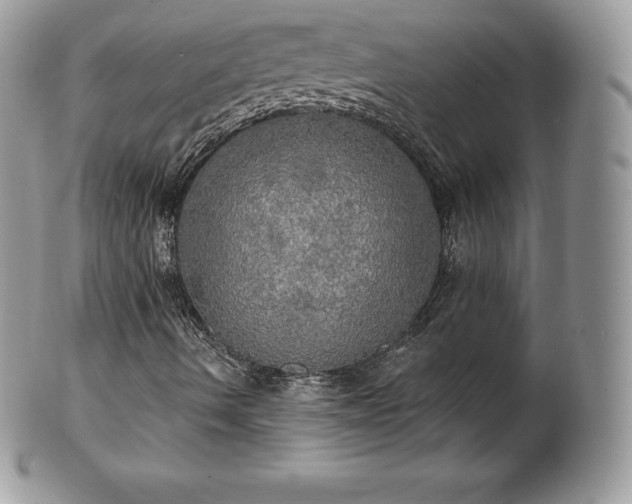 X0000101161490200807071145