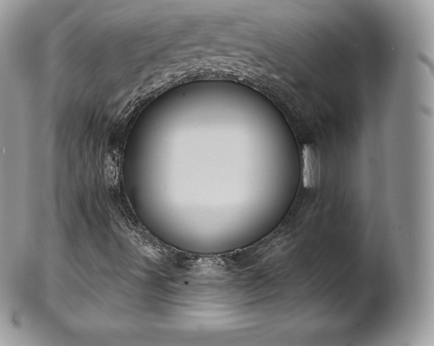 X0000101161491200807071145