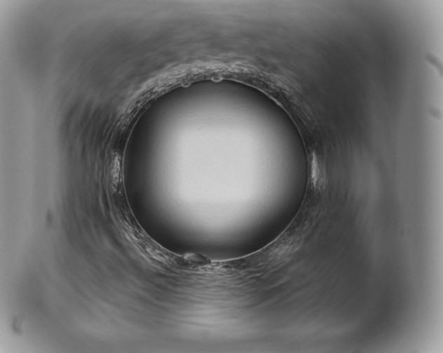 X0000101161492200807071145