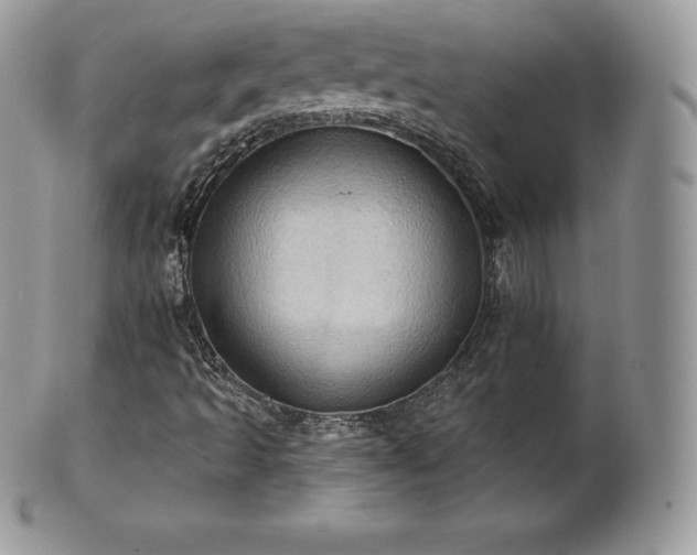 X0000101161493200807071145
