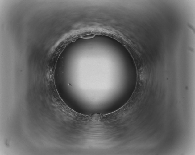 X0000101161495200807071145