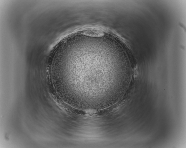 X0000101161496200807071145