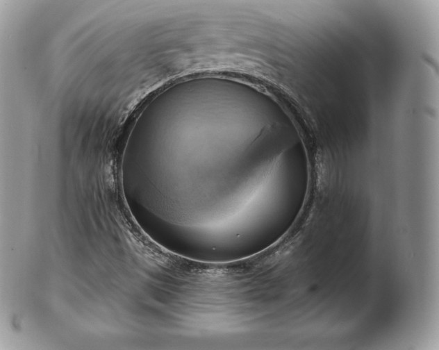 X0000101161497200807071145