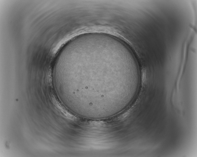 X0000101161498200807071145