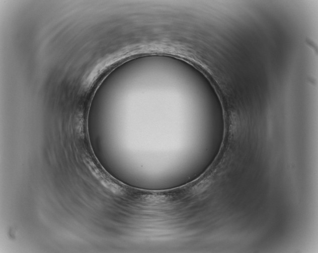 X0000101161499200807071145