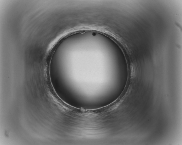 X0000101161502200807071145