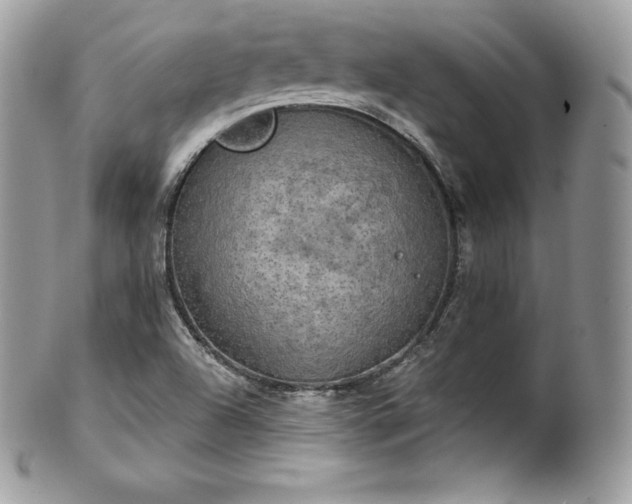 X0000101161504200807071145