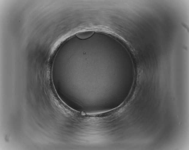 X0000101161506200807071145