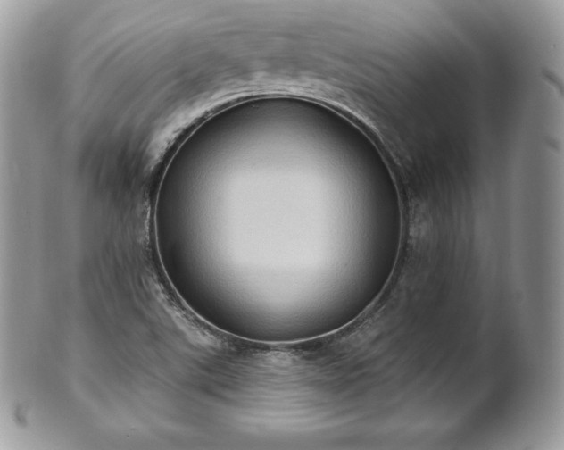 X0000101161507200807071145