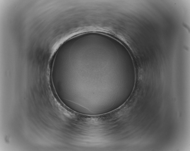 X0000101161508200807071145