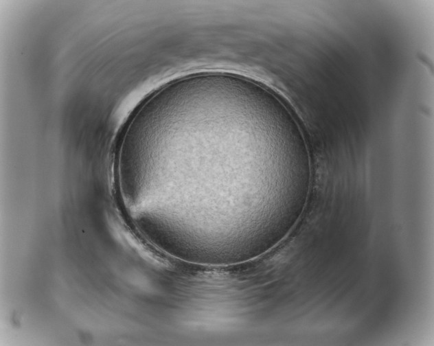 X0000101161511200807071145