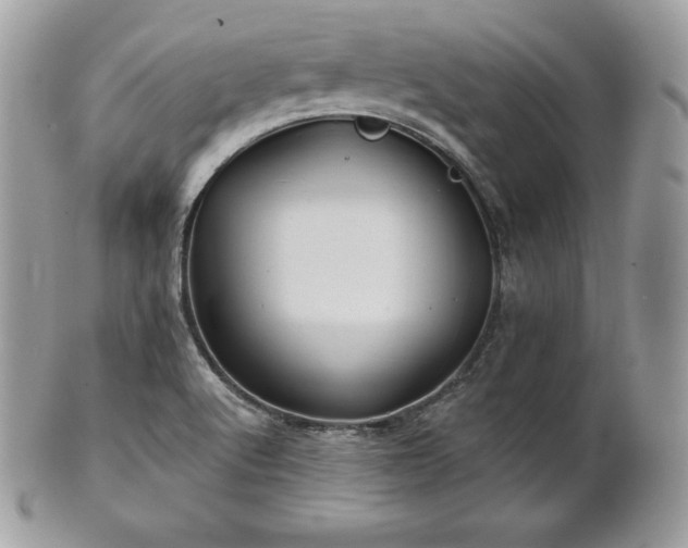 X0000101161512200807071145