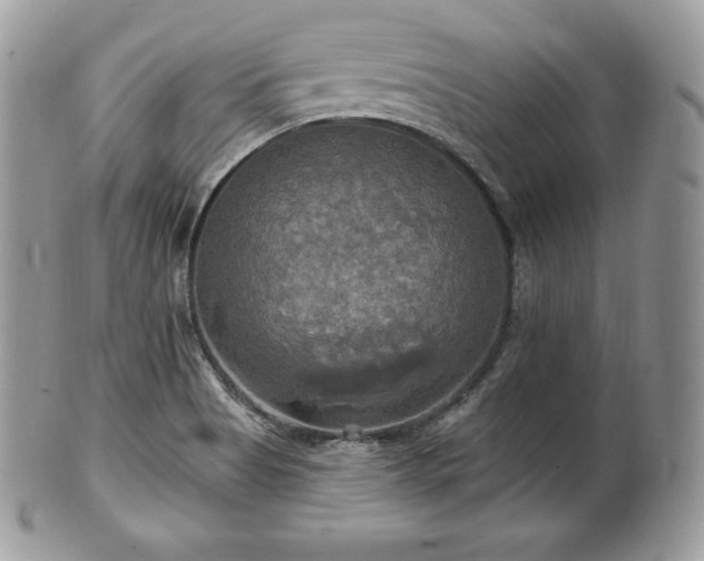 X0000101161513200807071145