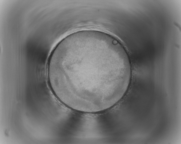 X0000101161514200807071145