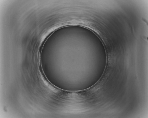 X0000101161515200807071145