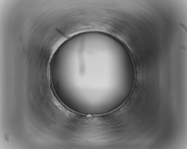X0000101161516200807071145