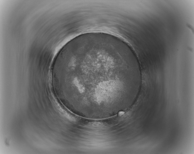 X0000101161517200807071145
