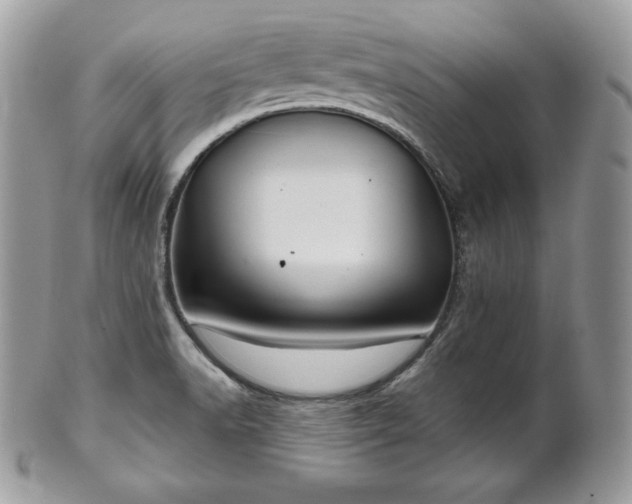 X0000101161518200807071145