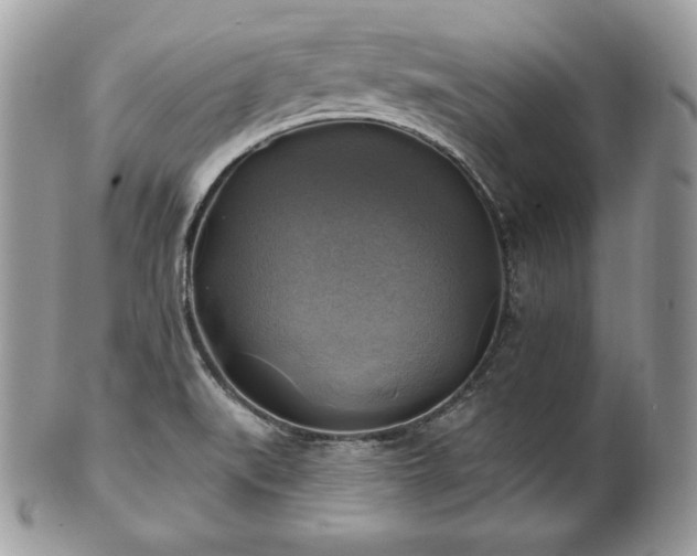 X0000101161519200807071145