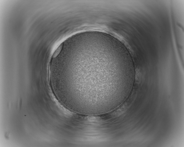 X0000101161520200807071145