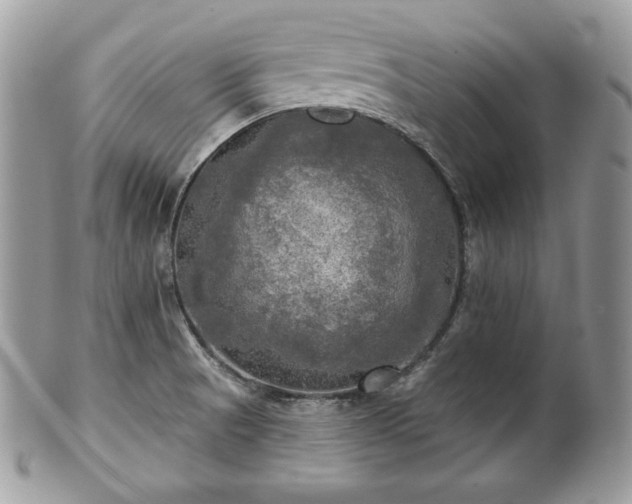 X0000101161521200807071145