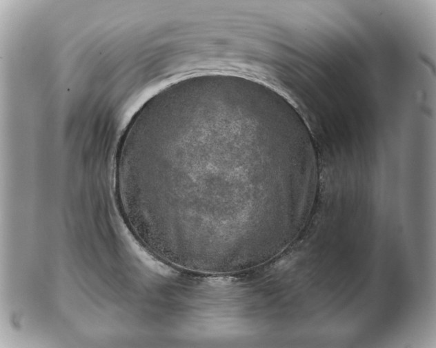 X0000101161523200807071145
