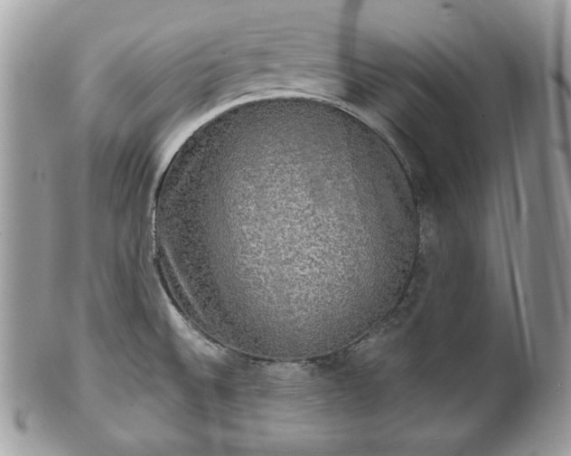 X0000101161524200807071145