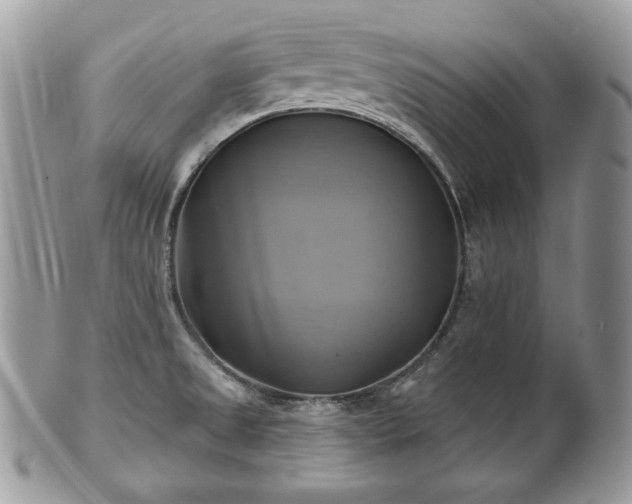 X0000101161525200807071145