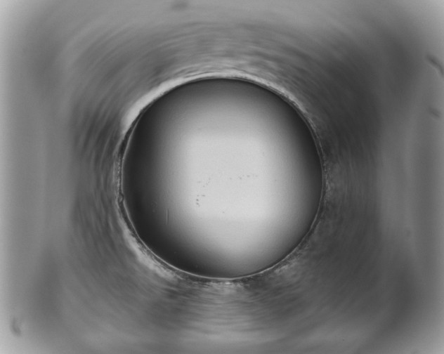 X0000101161526200807071145