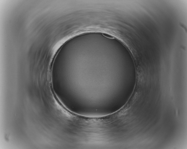 X0000101161527200807071145