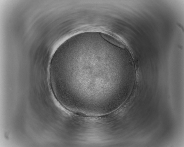 X0000101161528200807071145
