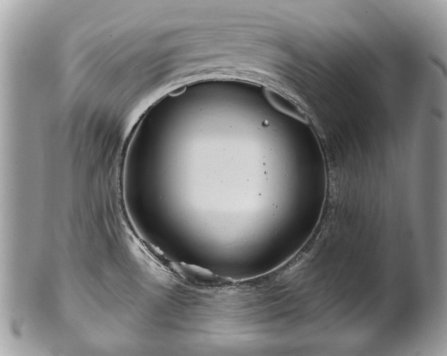 X0000101161530200807071146