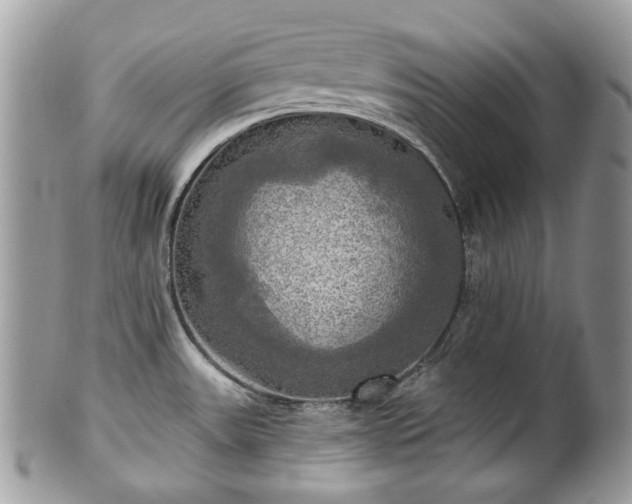 X0000101161531200807071146