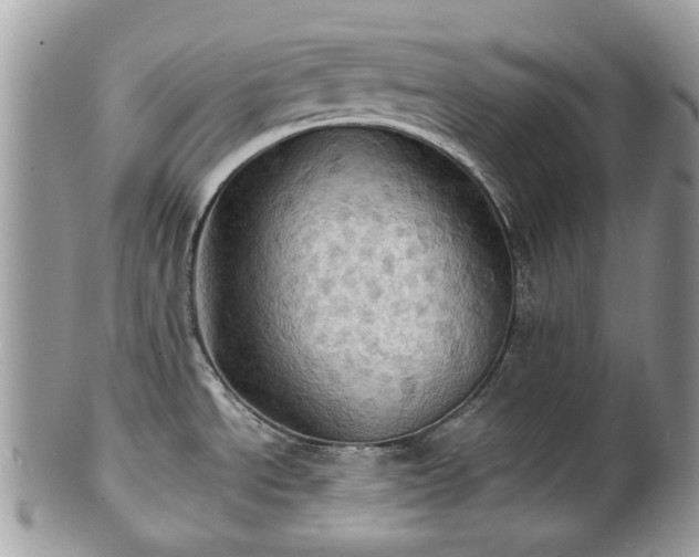 X0000101161534200807071146