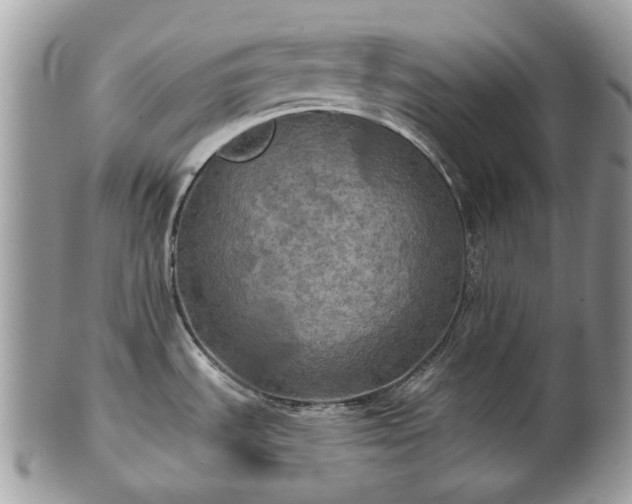 X0000101161535200807071146