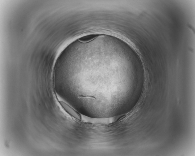 X0000101161536200807071146