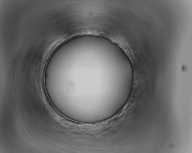 X0000101160001200807111039