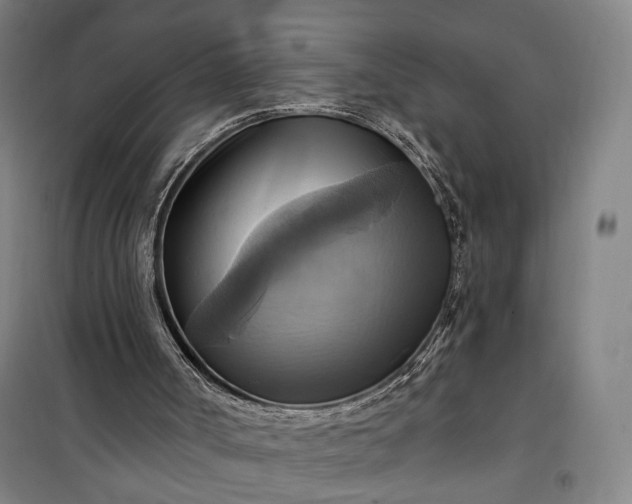 X0000101160002200807111039