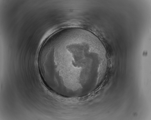 X0000101160004200807111039