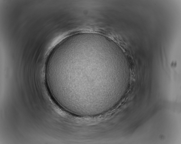 X0000101160005200807111039