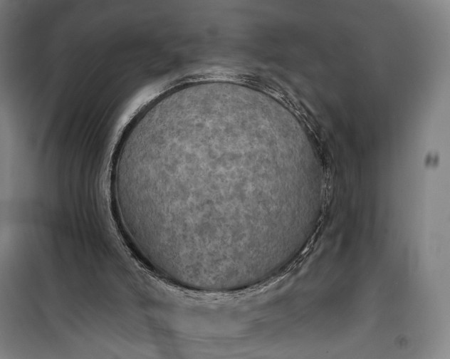 X0000101160006200807111039