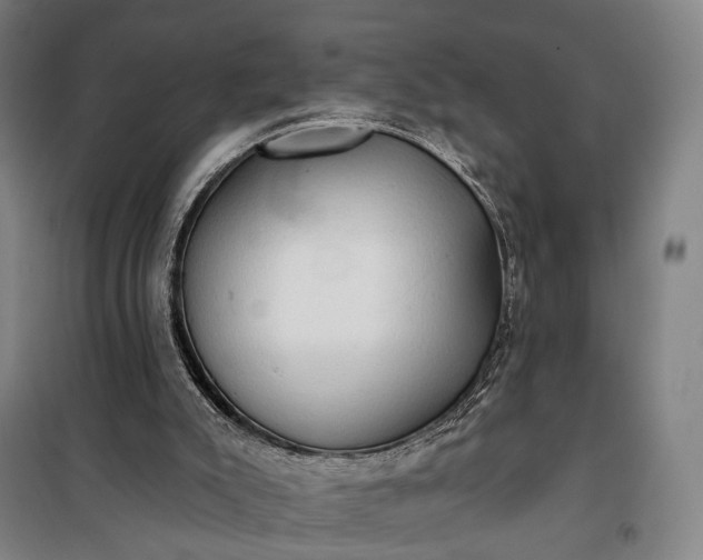 X0000101160007200807111039